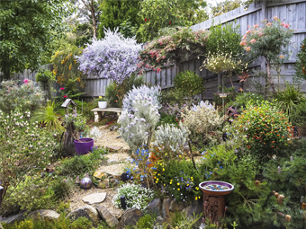 How to Create a Cozy Home and a Beautiful Garden with the Ri
